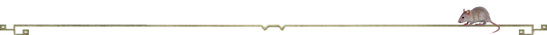 Matematyka