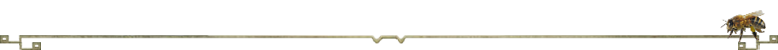 Matematyka